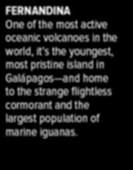 You could join for two weeks and see all the sites but, no matter when you sail, be assured there s no better week to experience Galápagos just