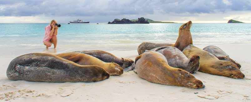 WILD GALÁPAGOS ESCAPE 7 DAYS/6 NIGHTS ABOARD NATIONAL GEOGRAPHIC ISLANDER DATES: 2018 & 2019: Expeditions depart Thursday or Saturday (limited dates) PRICES FROM: $5,450 Pack a ton of adventure into