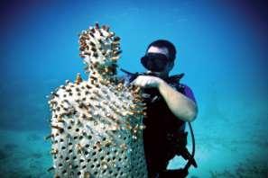 will act as support for coral farming as fragments of corals are attached to them, and allowed to grow.