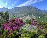 Known as the Mother city Cape Town s buildings, streets and ambience reflect the cultures and traditions of several of its ancestral inhabitants, from Europe, Africa and the Far East, making it one