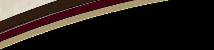 CONTRUCTION AIR EXECUTIVE INTERIOR FEATURE & EQUIPMENT AIR EXECUTIVE Gel Coated Fiberglass Exterior Raised Panel Kitchen Overhead Cabinet Doors ETERNABOND CONTRUCTION Featuring: 19 LCD TV 242 AIR *