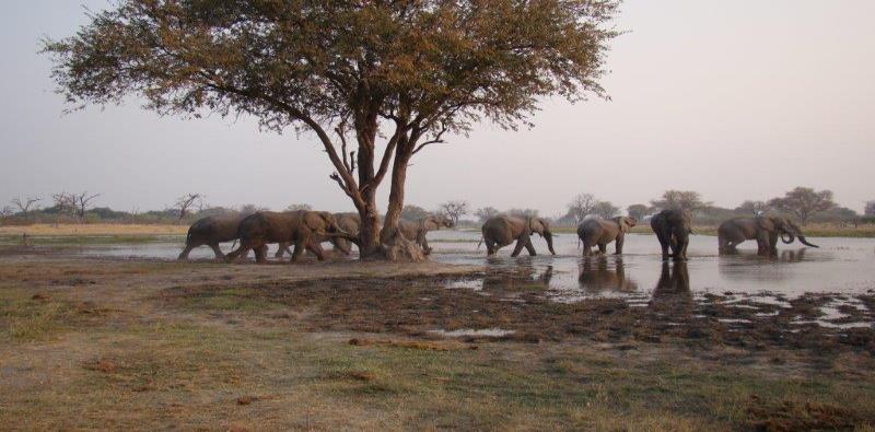 11 Day Botswana untouched Safari Departing Cape Town 1 July 2016 PROVISIONAL COSTS Land Arrangements R 31785.