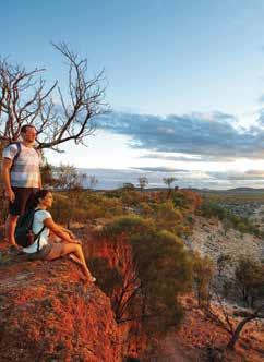 From travel across the Great Dividing Range, through the rich farmlands of the Darling Downs to Charleville, the largest town in South West Queensland.