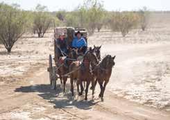 Outback Holiday Packages OUTBACK HOLIDAY PACKAGES Cobb & Co Experience, Longreach Kinnon & Co's Starlight's Cruise Experience, Thomson River WINTON ROCKHAMPTON LONGREACH 8 Day Longreach and Winton Do