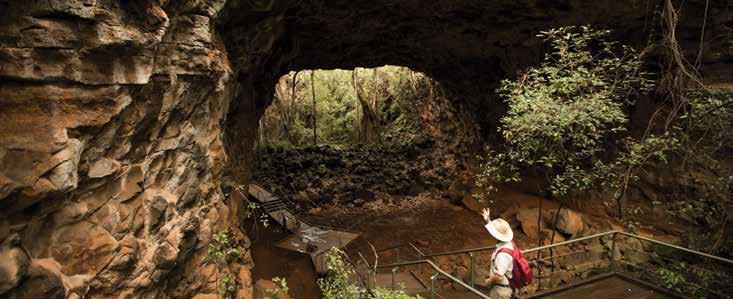 Travel on to Chillagoe and take a tour of the caves. Overnight at Chillagoe.