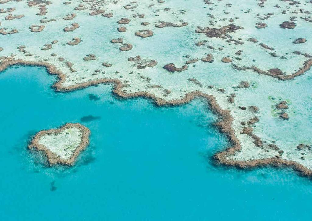 The spectacular blue of the Whitsunday region s waters can be