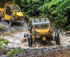 Sightseeing B U Y BUY NOW - BOOK LATER N O W L AT E R - B O O K Island Buggy Explorer Drive a Big Rider and visit plantations, waterfalls, Maraes and more while being followed by a tour guide on The