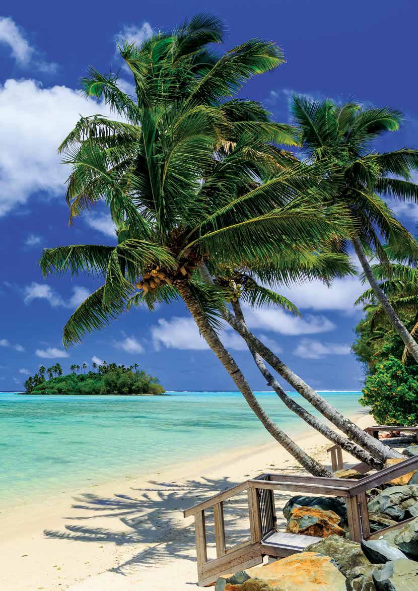 Contents Navigating This Brochure 4 Travel Tips 6 Top 10 Things To Do 8 Planning Your Cook Islands Holiday 10