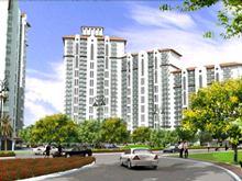New Town Heights & M1 & M1A Towers (DLF) M/s.