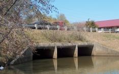 14 STAYED GIRDER 0 bridges A stayed girder bridge is a structure where the deck is supported by