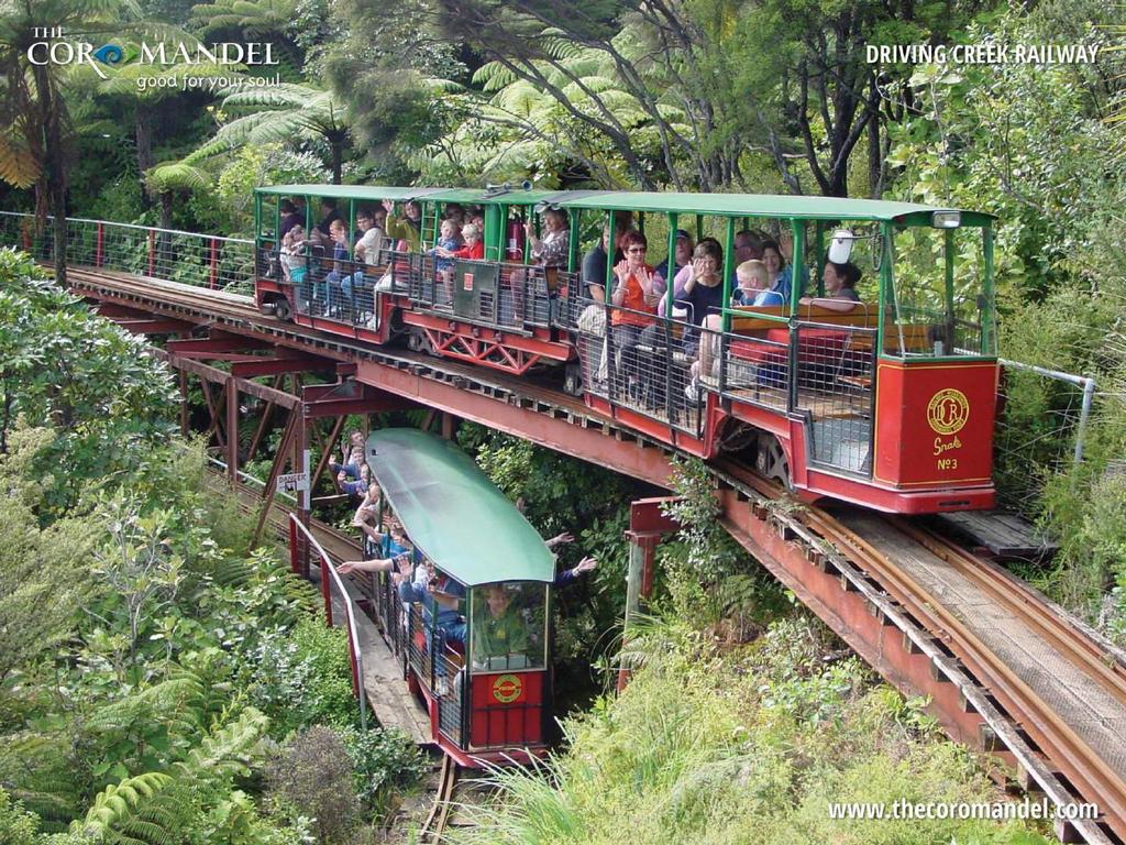 Mountain railway, through kauri plantings, and tunnels,