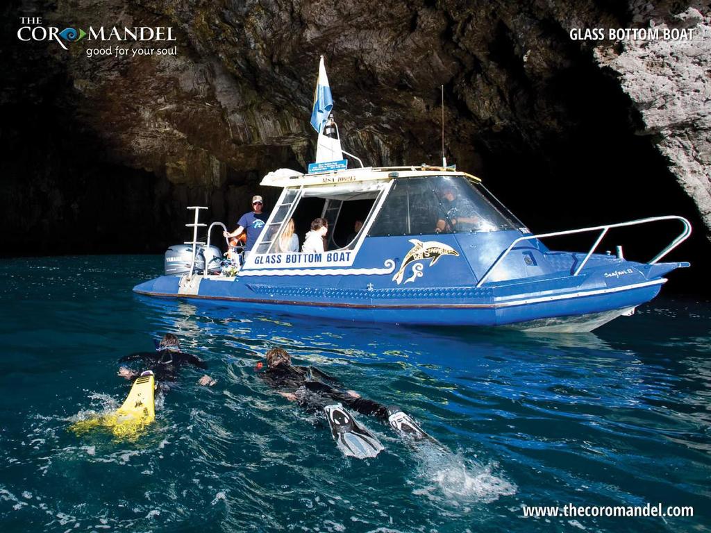 View amazing marine life through the glass or experience sensational