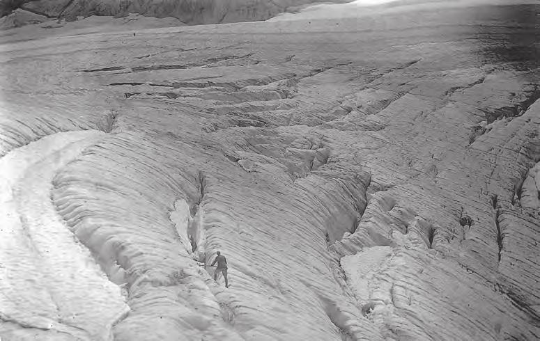 Še med obema vojnama je bil na primer Triglavski ledenik prepreden s številnimi globokimi prečnimi ledeniškimi razpokami, ki so pričale o premikanju ledene gmote (slika 1).
