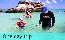 Phi Phi Island Option Join tour: (Start from 07.30 am-16.30 PM) Full day Phi Phi Island+Maya bay+khai Island by speedboat 07.30-08.30 AM Pick up from hotel in Phuket and transfer to pier.