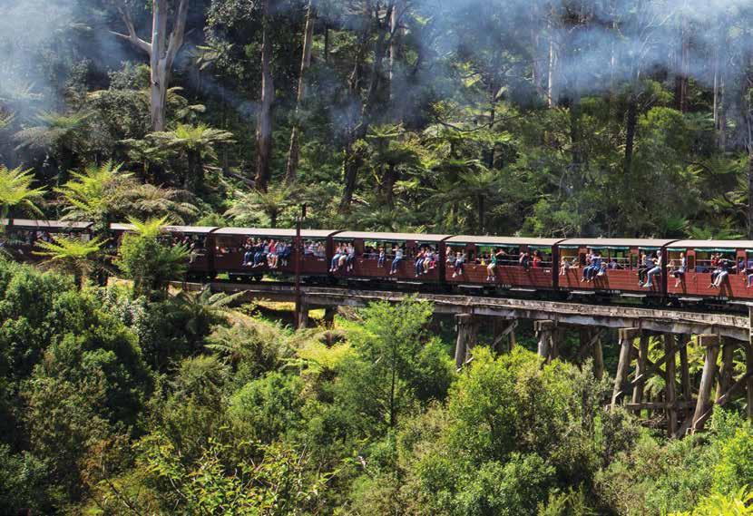 PUFFING BILLY (MORNING OR FULL DAY) Puffing Billy BLUE DANDENONGS, MOUNTAIN VILLAGES DAILY (Morning) Tour 322 $101.00 Child: $50.50 Departs: Returns: 8.10am 1.