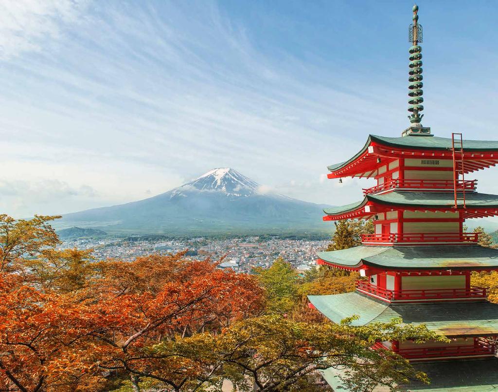 JAPAN 日本 2019 Rugby Travel Ireland is proud to be an Authorised Sub-Agent for Rugby World Cup 2019, Japan. Touring with Rugby Travel Ireland is not just about a ticket and a hotel.