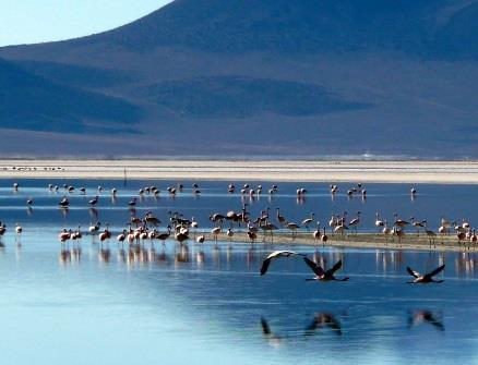 Let the imposing and vast landscape of Bolivia s southern Altiplano inspire you.
