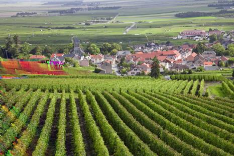 Day 6 Locations: Beaune Overview: This morning our local guide will take us on a walking tour of Beaune including a visit to the magnificent Hôtel Dieu with its multi-coloured tiled roofs.