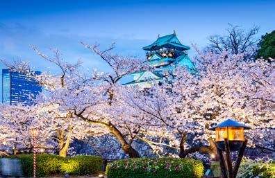 Popular tourist attractions include Tokyo and Hiroshima, Mount Fuji, ski resorts such as Niseko in Hokkaido, Okinawa, riding the shinkansen and taking advantage of Japan s hotel and hotspring network.