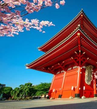 Japan has around 100,000 Shinto shrines and 80,000 Buddhist temples.