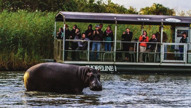 Here, we'll discover the wild nature of Africa, with a 2 hour Hippo and Croc Cruise before dinner.