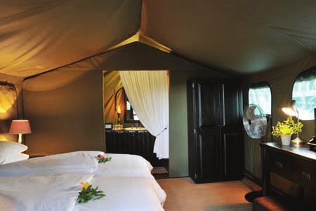 Chisomo Safari Camp features Safari tents, set in the African bushveld, under majestic Apple