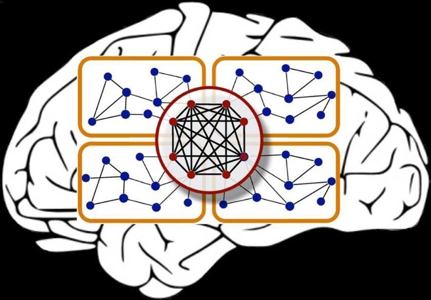 Тематске целине: Увод у неуронске мреже Модел неурона и архитектура мреже Правило учења