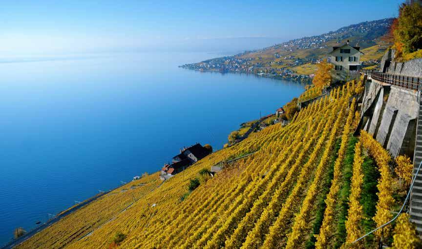 11DAYS 8NIGHTS Lavaux Vineyards, Lake Geneva SWITZERLAND, ITALIAN LAKES & FRENCH RIVIERA - Simply Divine!