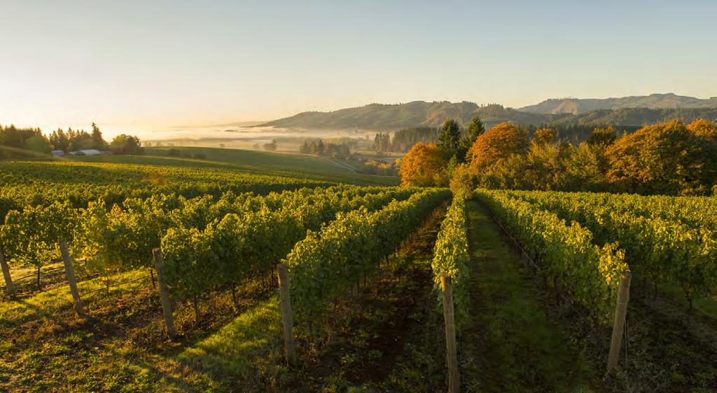 LEVEL 3 Willamette Valley LUXURY INSIDERS WINE TOUR EXPERIENCE This 3-Night Wine Experience includes: Round-trip coach air for two persons from any major
