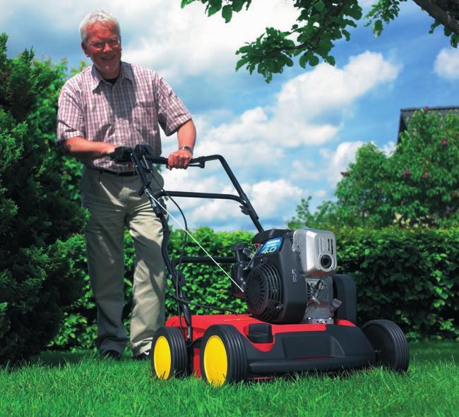 Lawn Care Scarifying and Trimming Lawn care: a piece of life quality At the heart of most gardens lies a