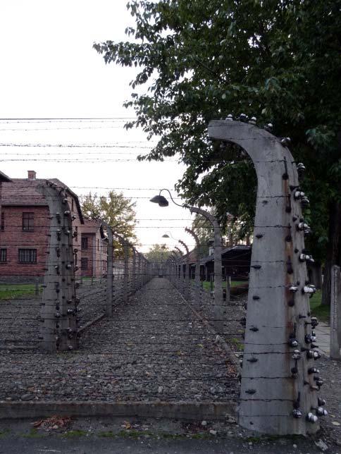 understanding of the Holocaust To understand the human