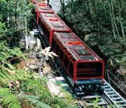 Next we join the Scenic Railway ( included ), the steepest railway in the world, for a ride to the top of the Valley.