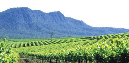great food and amazing wines to excite your taste buds. With over 100 wineries set amongst picturesque landscape, the Hunter Valley region has so much to offer.