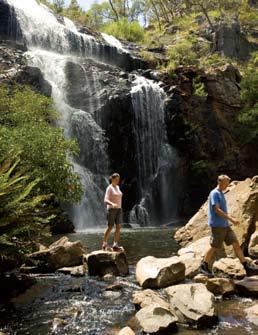 GRAMPIANS GREAT ESCAPE > AT4 125 PICNIC LUNCH > Grampians National Park > Visit Reeds Lookout > Mackenzie OR SILVERBAND FALLS > Experience Aboriginal Culture > Aussie Wildlife Guaranteed > Hike to
