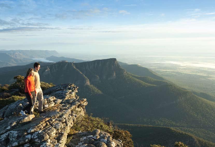 After enjoying morning tea we travel into the heart of the Grampians National Park and experience its glory at Boroka Lookout where breathtaking mountain views await.