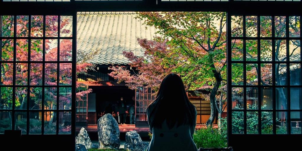 My Own Japan - for solo travellers - Your Japan trip at a glance Discover the highlights of Japan with this superb itinerary for single travellers who want to explore the beauty of Japan on their own.