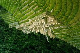 Terraces are typically 5-13 feet high with varied length and width according to