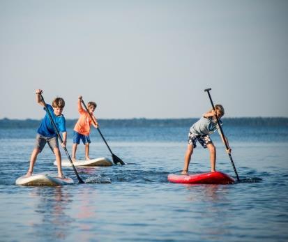 Kayaking, Bike tour, Archery, Hiking, Excursion, Healthy