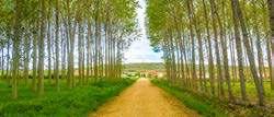 Camino crosses some of the most beautiful parts of Spain, passing through great cities like Pamplona,