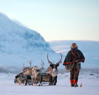 The Sami The Sami are one of the world s indigenous peoples, around 70 000 Sami are spread out in four countries: Russia, Finland, Norway and Sweden. This large land area is called Sápmi.