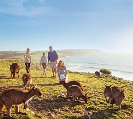 3 with South Australia offers incentive experiences not available anywhere else in the world, be it