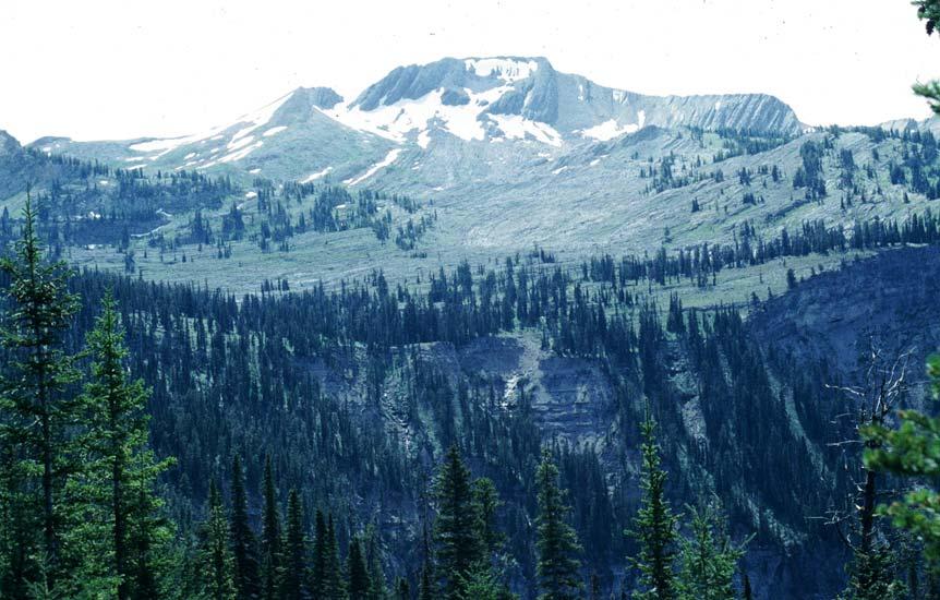 Silvertip 1996 By Peter Sprouse The north cirque of Silvertip Mountain. Photo by Peter Sprouse It had been quite a long time since I had been caving at Silvertip Mountain.