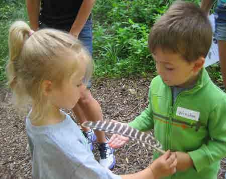 m. to Noon Frogs, Toads & Snakes: June 15-18 or July 6-9 ~ Cost is $60 A Bugs Life: June 29-July 1 or July 27-29