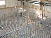 PARTITIONS PVC EQUIPMENT FOR PREGNANT SOWS PVC Panels, height