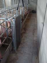 Custom sizes on request Gestation Boar ADDITIONAL GATE FOR HEAT