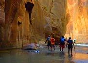 Your group will journey through the most magnificent slot canyon