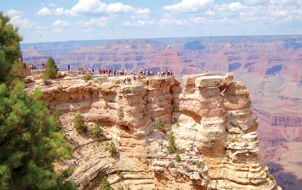 India Paul Freedman John Mack Faragher 77 PhD June 23 July 2, 2018 National Parks of the Southwest: A Family Adventure in Zion, Bryce Canyon, Capitol Reef,