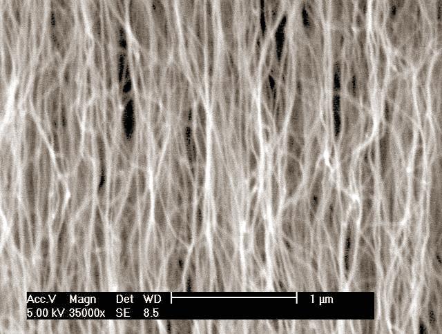 dimension of nano size, i.e. <100 nm Exhibit remarkable and unique