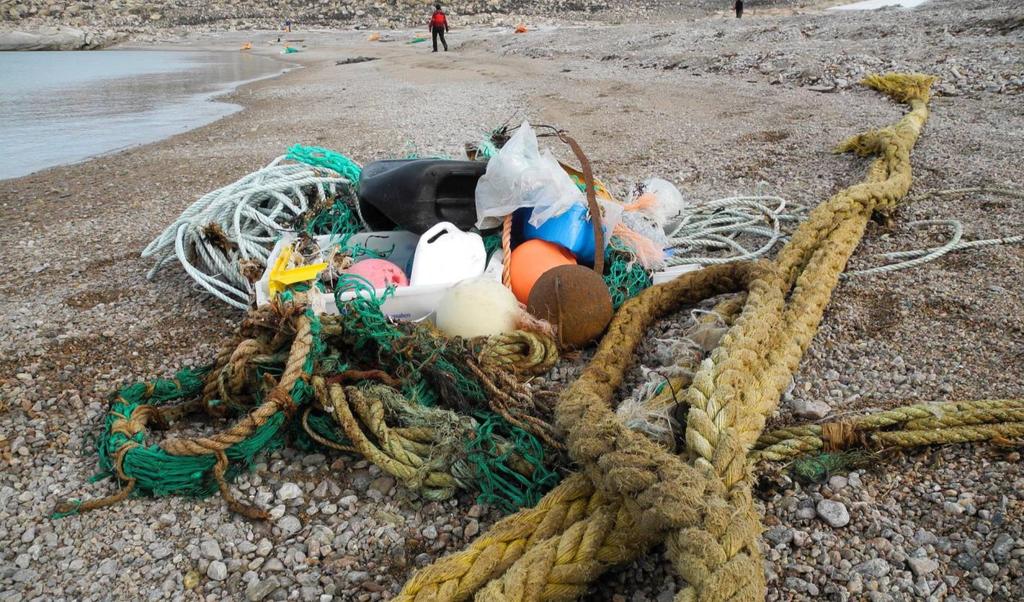 Clean Seas initiative Reduce single-use plastics on ships. Coordinate cleanups.