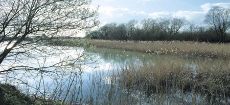 Part 5: A new approach to sustainability 5.5 Enhancing the natural environment required for flood control will become purpose-designed wildlife habitats.